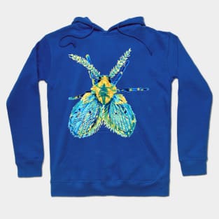 Drain Fly Hoodie